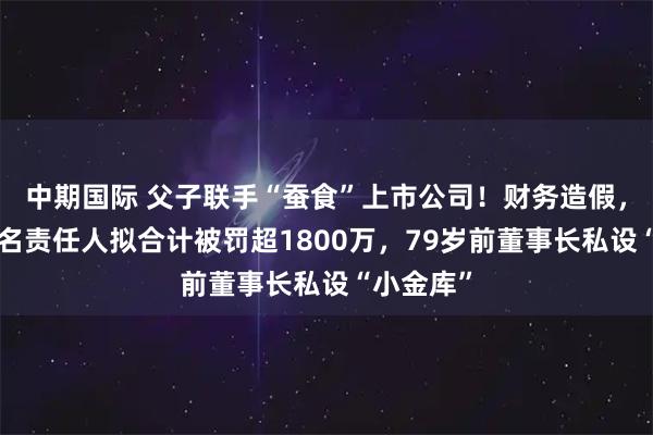 中期国际 父子联手“蚕食”上市公司！财务造假，公司及7名责任人拟合计被罚超1800万，79岁前董事长私设“小金库”