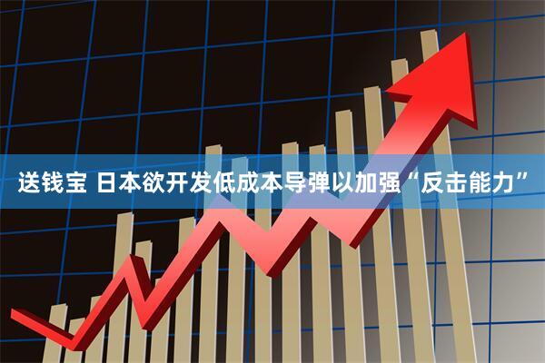 送钱宝 日本欲开发低成本导弹以加强“反击能力”